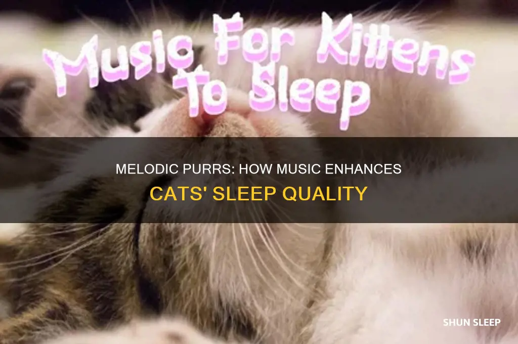 does music help cats sleep