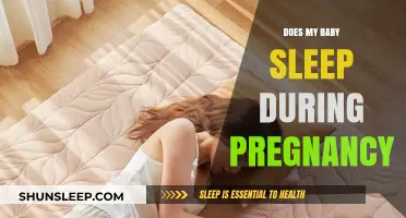 Does My Baby Sleep in the Womb? Understanding Fetal Rest Patterns