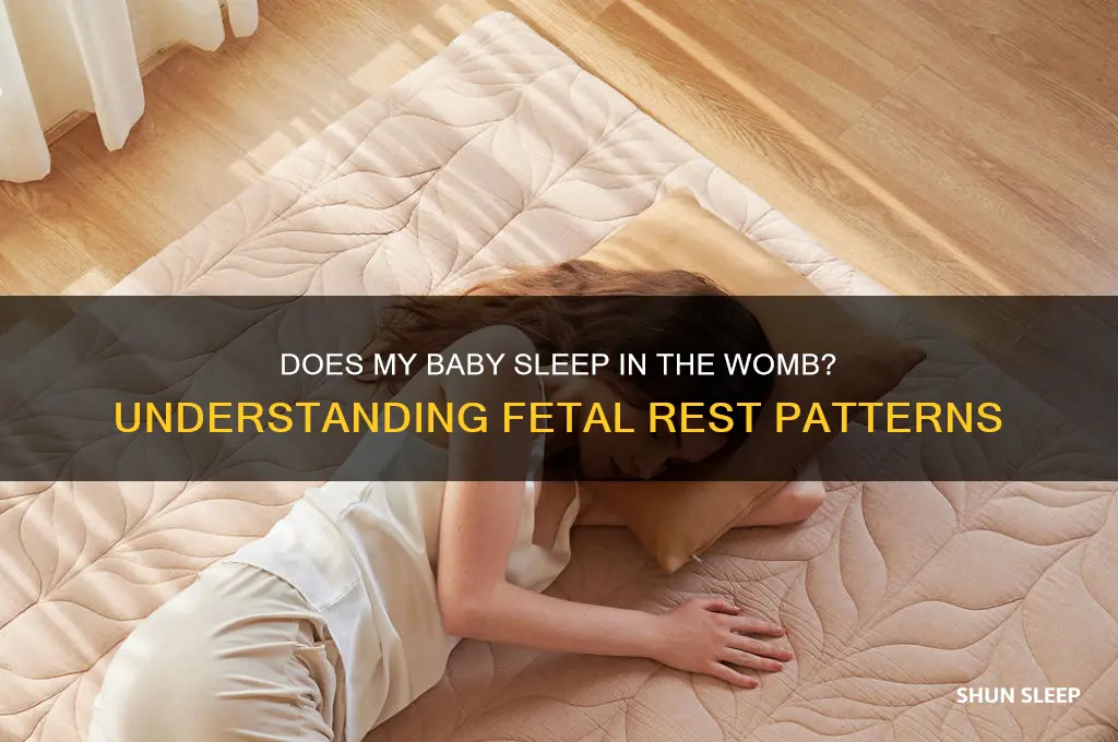 does my baby sleep during pregnancy