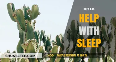 NAC and Sleep: Unlocking Better Rest Through Acetylcysteine?