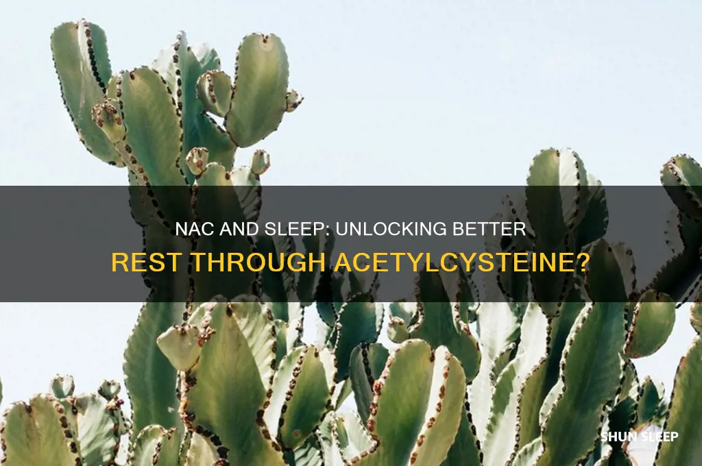 does nac help with sleep