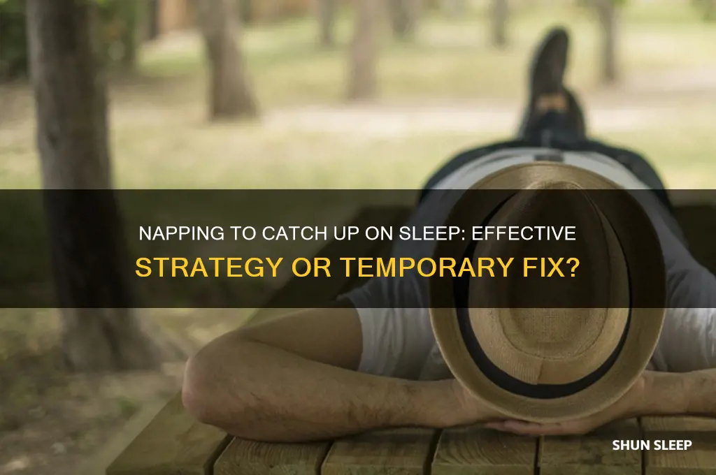 does napping help catch up sleep