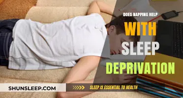 Napping to Combat Sleep Deprivation: Effective Solution or Temporary Fix?