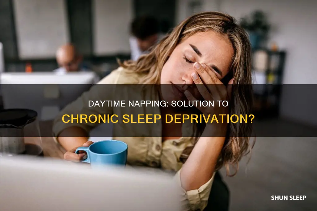 does nappjng during the day cure chronic sleep deprivation