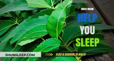 Neem for Sleep: Natural Remedy or Myth? Discover the Truth