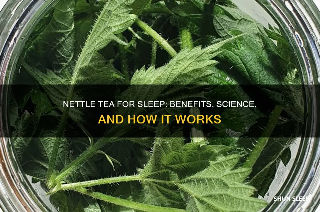does nettle tea help you sleep