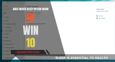 Windows 10 Never Sleep Option: Does it Work?