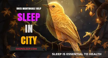Can Nightingale Sounds Enhance Urban Sleep Quality and Peacefulness?