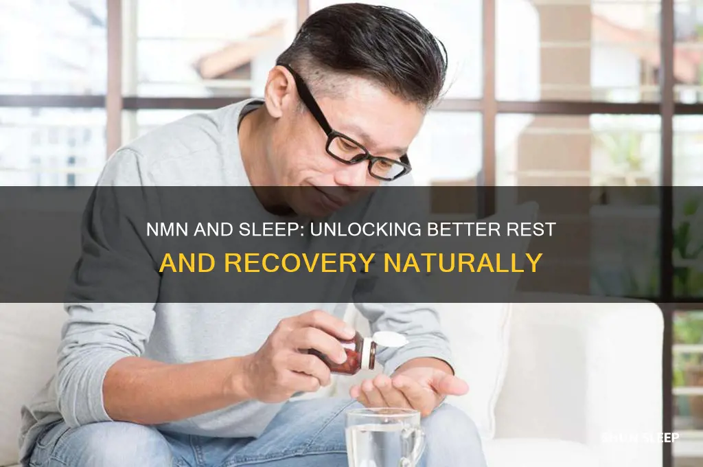 does nmn help with sleep