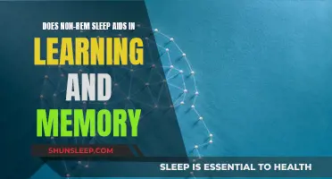 Non-REM Sleep: Learning and Memory Aid?