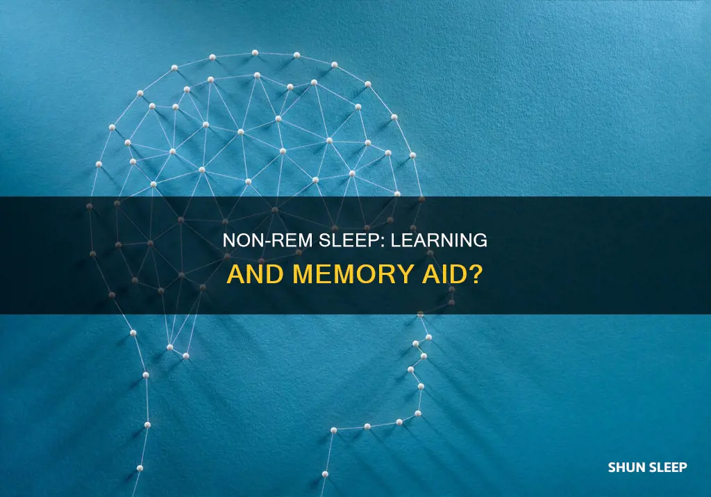 does non-rem sleep aids in learning and memory