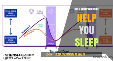 Norepinephrine and Sleep: Unraveling Its Role in Restful Nights