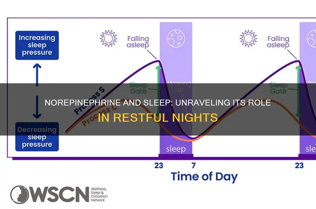 does norepinephrine help you sleep