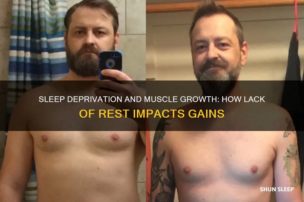 does not getting enough sleep affect muscle growth