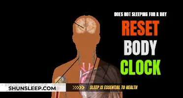 Resetting Body Clock: Does Staying Awake Work?