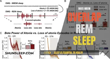 Understanding the Interplay of NREM and REM Sleep