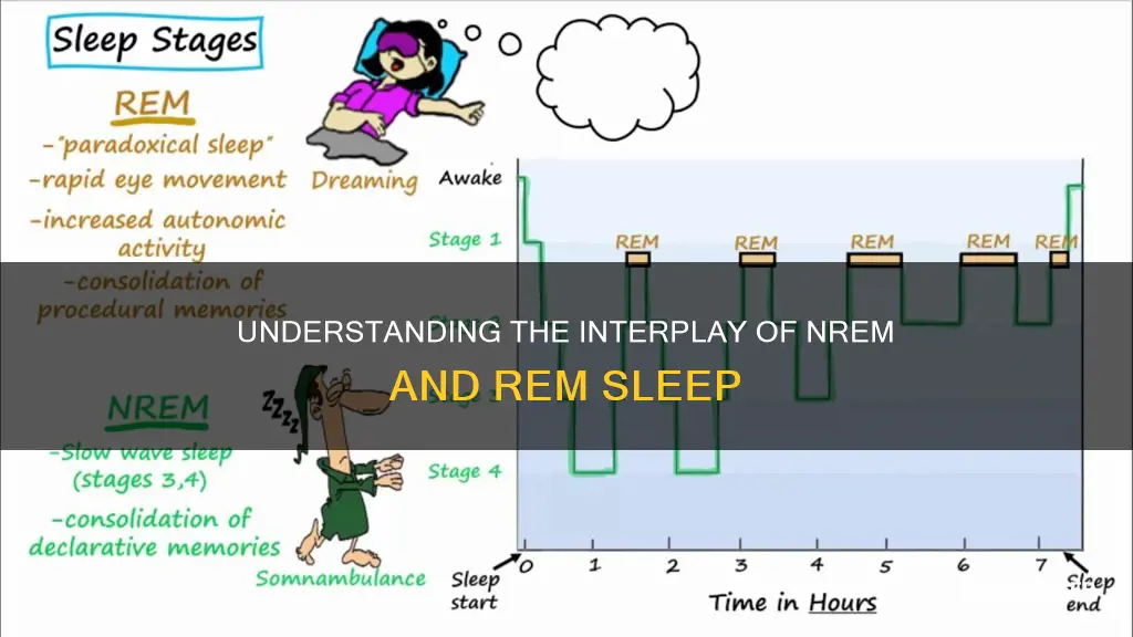 does nrem overlap rem sleep