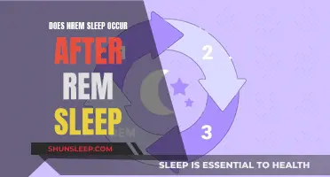 Understanding Sleep Cycles: NREM Sleep's Position After REM