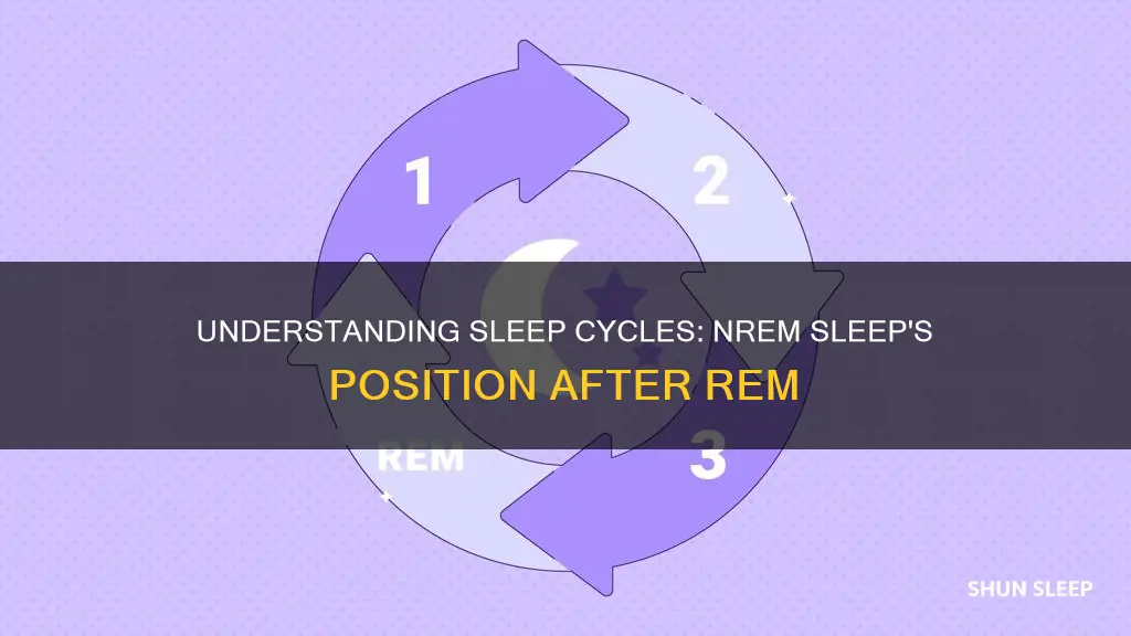 does nrem sleep occur after rem sleep