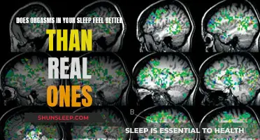 Orgasms in Sleep: Better Than Reality?