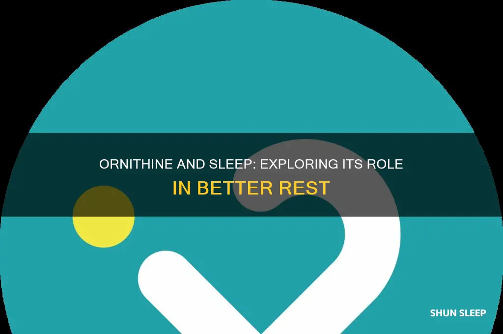 does ornithine help you sleep
