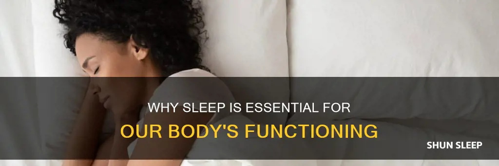 does our body need sleep