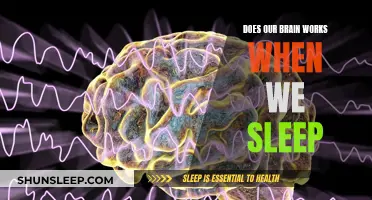 Brain Activity While Sleeping: Unconscious Mind at Work