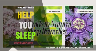 Can Passiflora Improve Sleep Quality? Exploring Its Benefits and Effectiveness