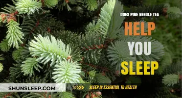 Pine Needle Tea: A Natural Sleep Aid or Myth?