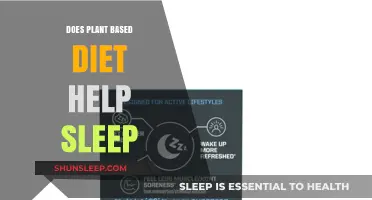 Plant-Based Diet and Sleep: Enhancing Rest Through Nutrition