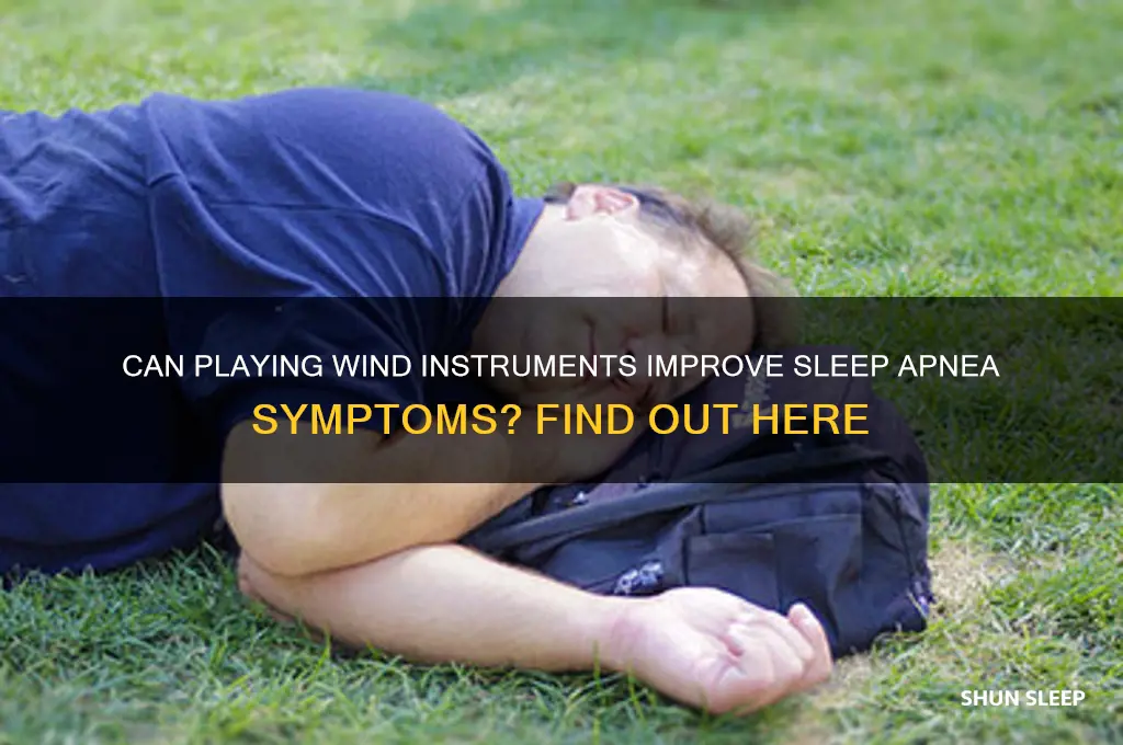 does playing a wind instrument help sleep apnea