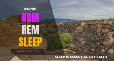 Point Disturbance: Impact on REM Sleep Explored