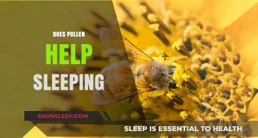 Pollen's Sleep Benefits: Unlocking Better Rest with Nature's Tiny Powerhouse