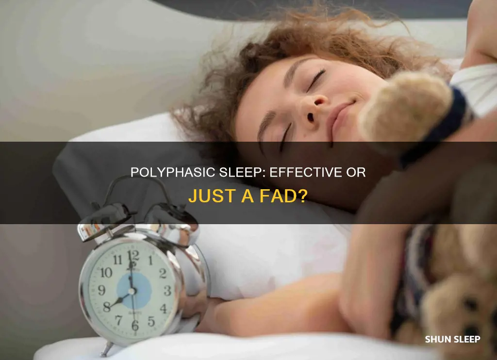 does polyphasic sleep really work