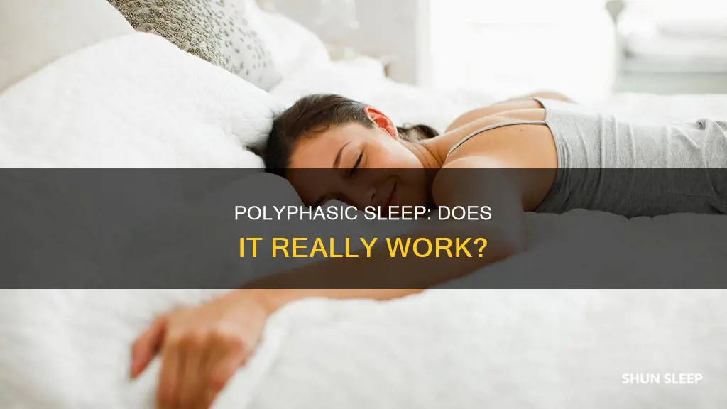 does polyphasic sleep work