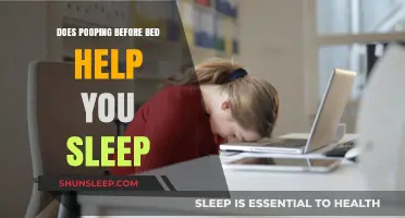 Does Evening Bowel Movement Improve Sleep Quality? Exploring the Connection