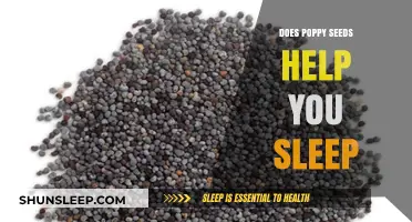 Can Poppy Seeds Improve Sleep Quality? Exploring Natural Remedies for Rest