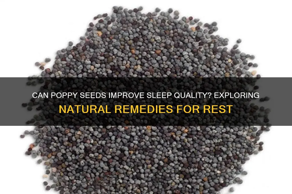 does poppy seeds help you sleep