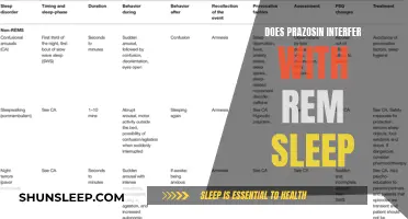 Prazosin and Sleep: REM Interference and What it Means