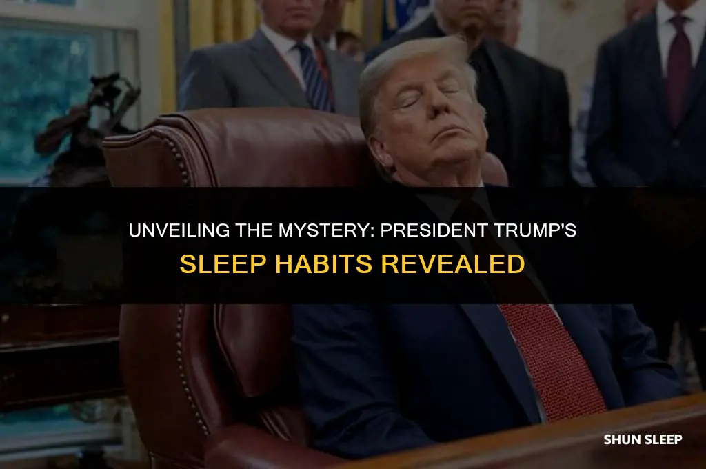 does president trump sleep 4 hours a day