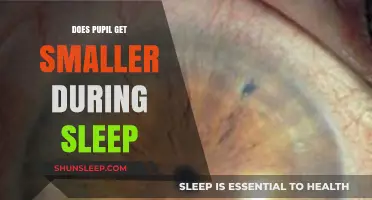 Do Pupils Shrink During Sleep? Exploring Nocturnal Eye Changes