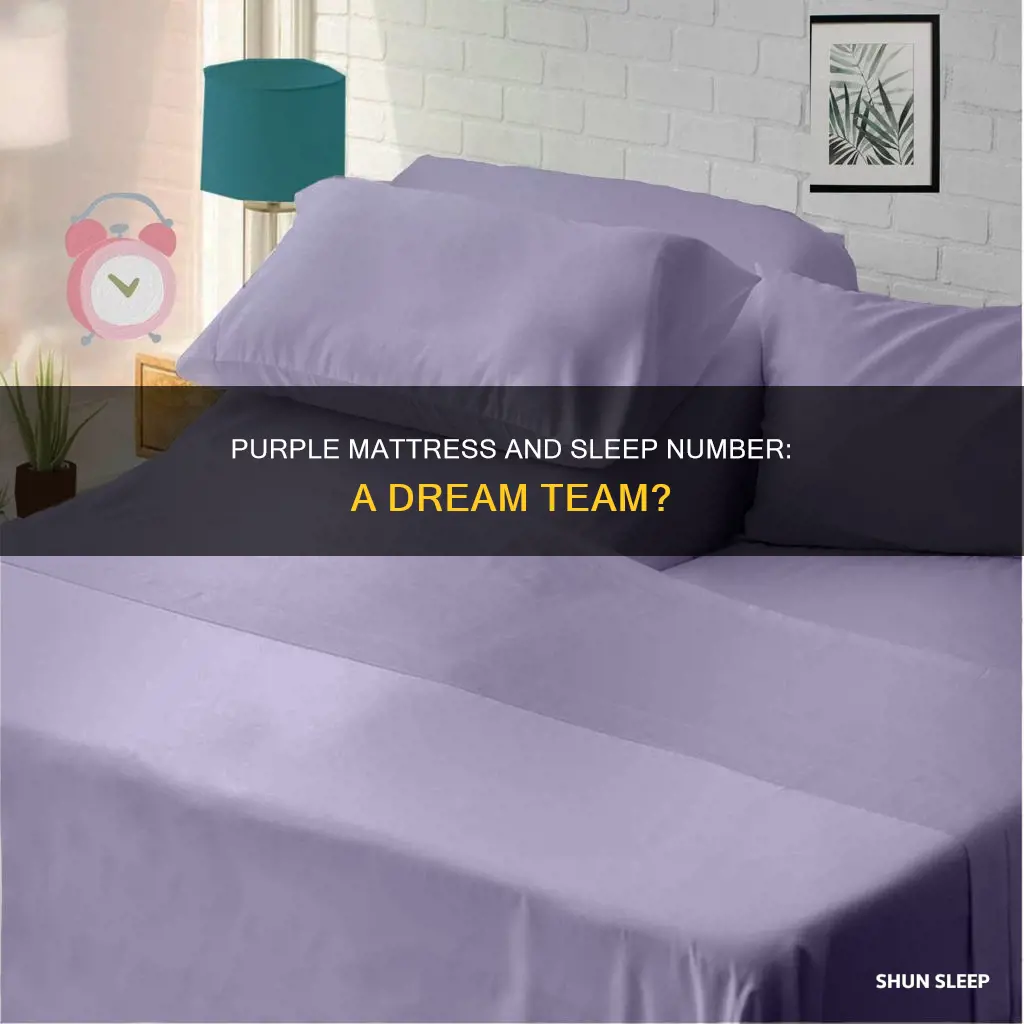 does purple mattress work on a sleep number