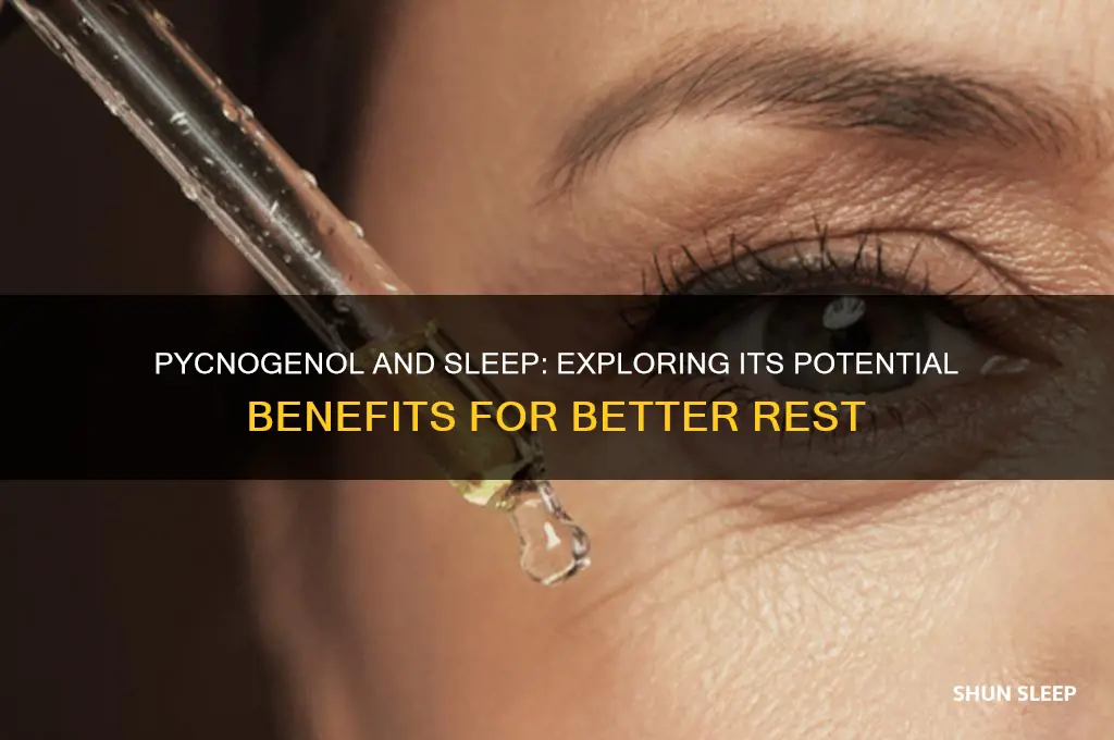 does pycnogenol help with sleep