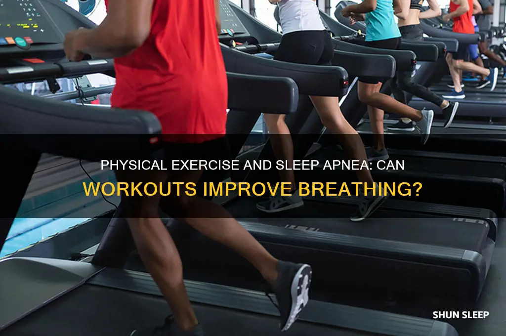 does pysical exercise help sleep apnea