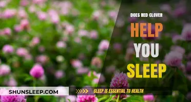 Red Clover for Sleep: Natural Remedy or Myth?