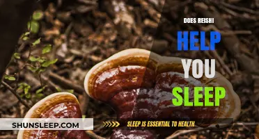 Reishi Mushroom for Sleep: Benefits, Dosage, and Effectiveness Explained
