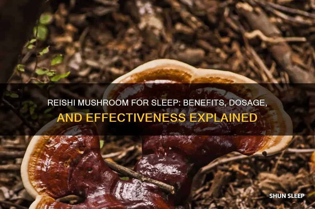 does reishi help you sleep