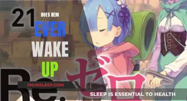 REM's Slumber: Will They Ever Truly Awaken?