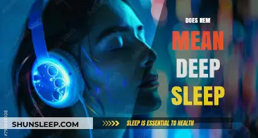 REM Sleep: Deep Sleep or Not?