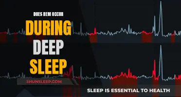 Understanding REM Sleep: Deep Sleep's Elusive Cousin